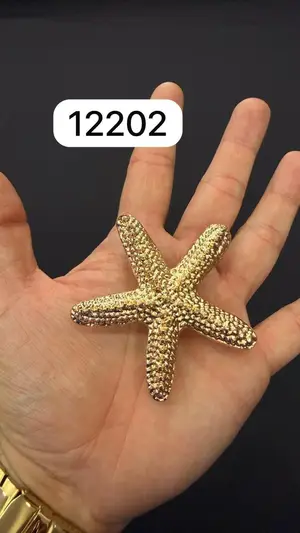 APL-12202 — Accesorios