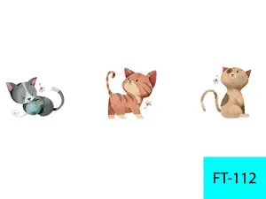 FT-112 — Promoción