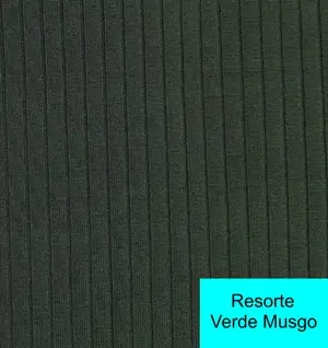 Resorte Verde Musgo — Resorte